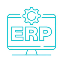 ERP Consultancy